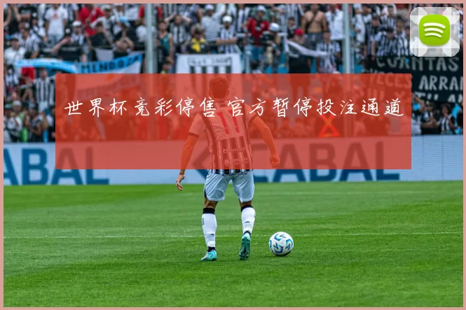 世界杯竞彩停售 官方暂停投注通道