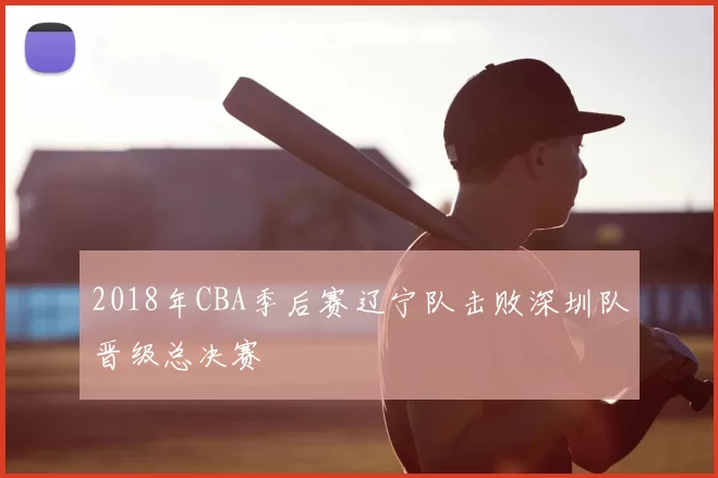 2018年CBA季后赛辽宁队击败深圳队晋级总决赛