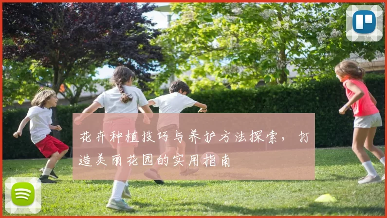 花卉种植技巧与养护方法探索，打造美丽花园的实用指南