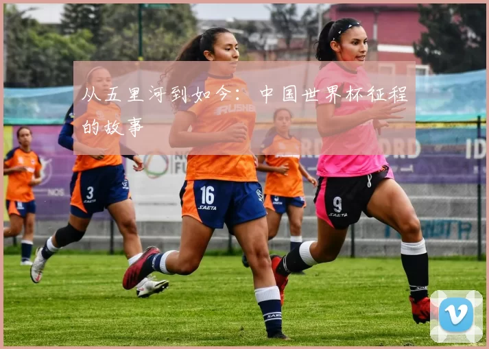 从五里河到如今：中国世界杯征程的故事