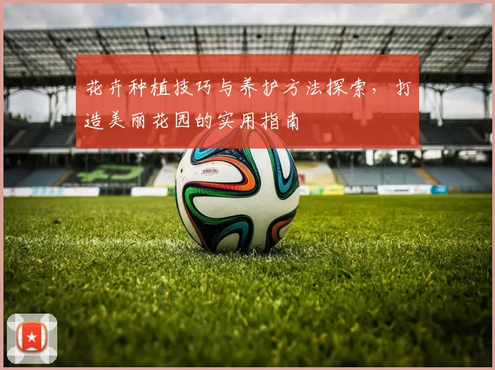 花卉种植技巧与养护方法探索，打造美丽花园的实用指南