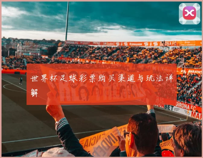 世界杯足球彩票购买渠道与玩法详解