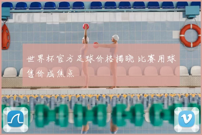 世界杯官方足球价格揭晓 比赛用球售价成焦点
