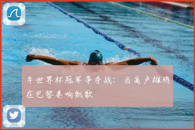 年世界杯冠军争夺战：当高卢雄鸡在巴黎奏响凯歌