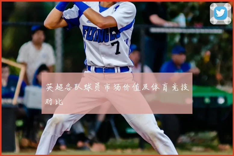 英超各队球员市场价值及体育竞技对比