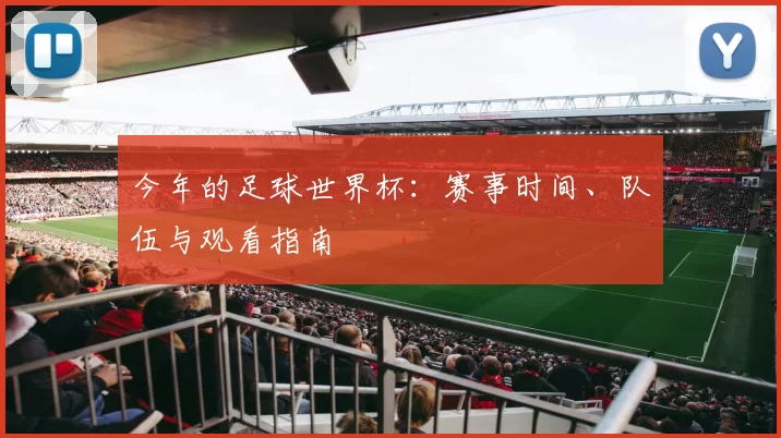 今年的足球世界杯:赛事时间、队伍与观看指南
