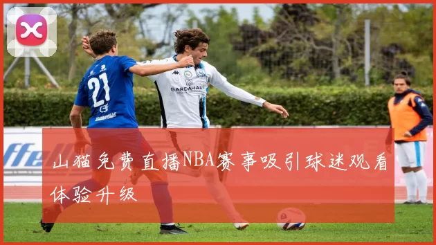 山猫免费直播NBA赛事吸引球迷观看体验升级