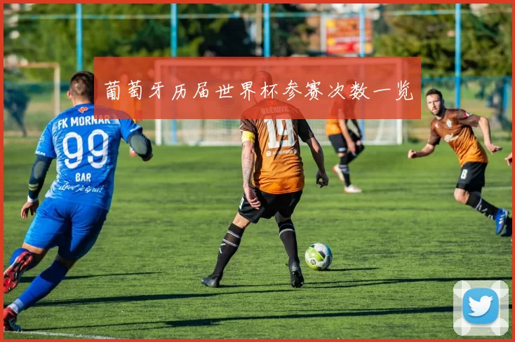 葡萄牙历届世界杯参赛次数一览