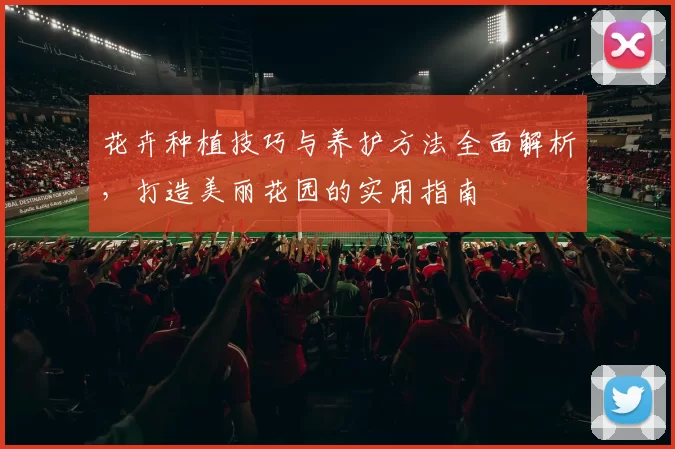 花卉种植技巧与养护方法全面解析，打造美丽花园的实用指南