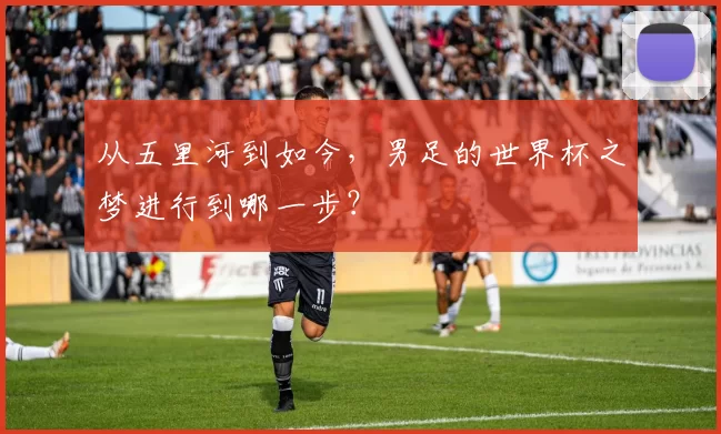 从五里河到如今,男足的世界杯之梦进行到哪一步?