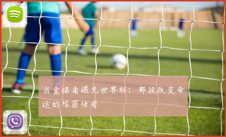 当金福南遇见世界杯：那段改变命运的绿茵传奇