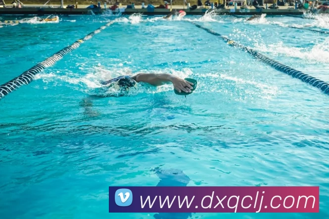 博亚官网平台生态图