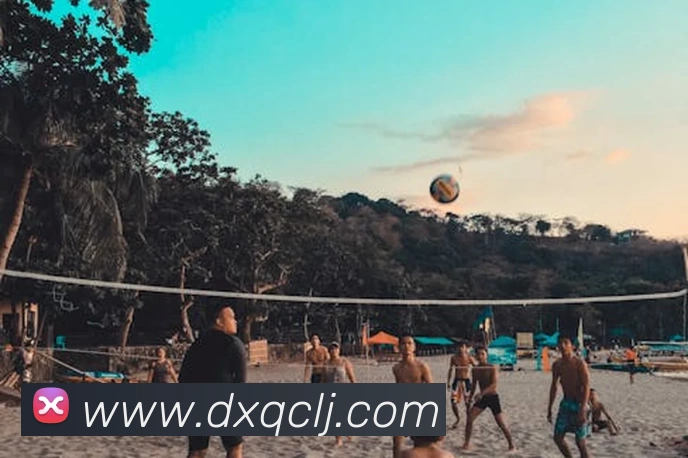 博亚官网APP 封面图